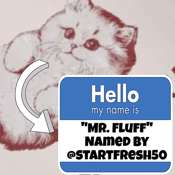 Indoor Cat Graphic T-Shirt - Cream and Red - Picture 4 of 4